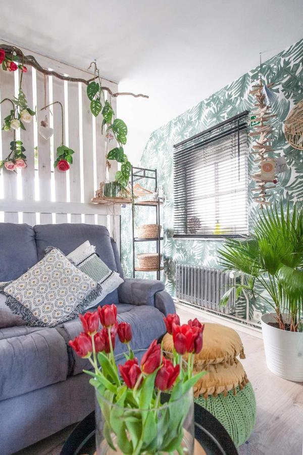 Zalig Cosy Appartement 2-4 Pers.Fietsen & Tuin De Haan Exteriér fotografie